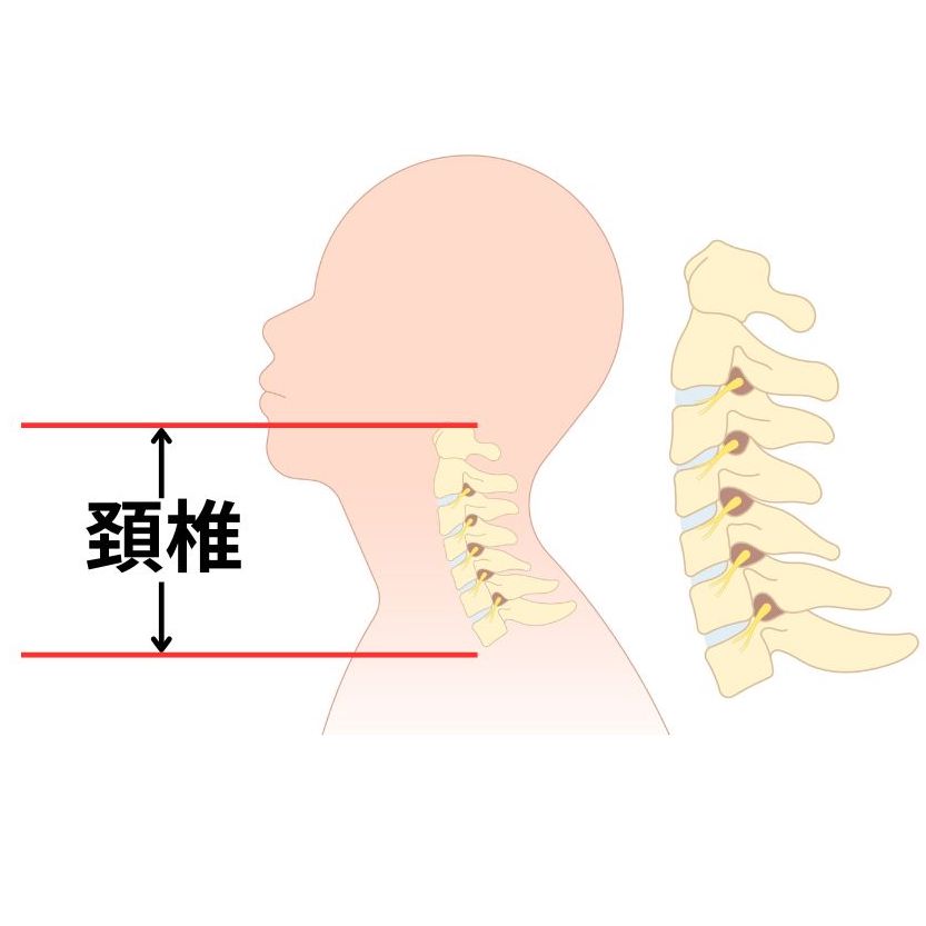 頚椎