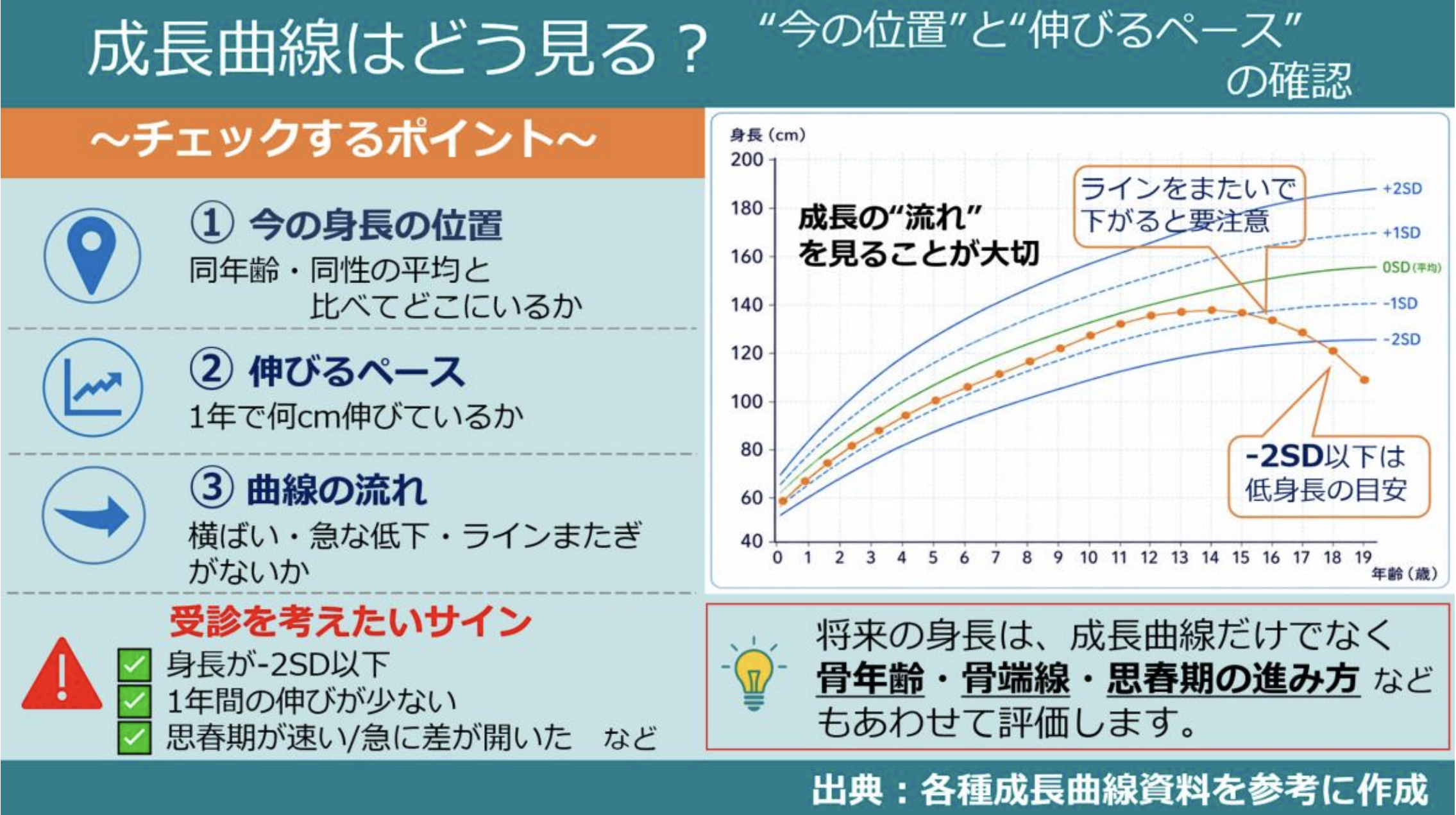 成長曲線はどう見る?